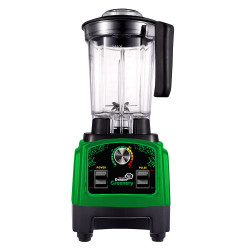 Блендер RawMID Dream Greenery 2 BDG-03