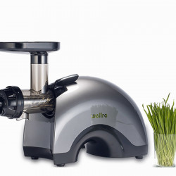 Шнековая соковыжималка Wellra TGJ50S, серебристый