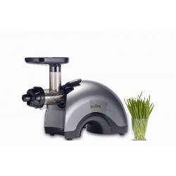 Шнековая соковыжималка Wellra TGJ50S, серебристый