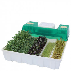Проращиватель семян (микроферма) EasyGreen EGL 55