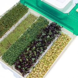 Проращиватель семян (микроферма) EasyGreen EGL 55