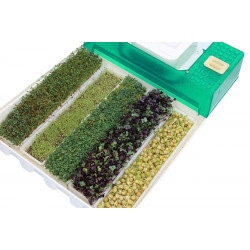 Проращиватель семян (микроферма) EasyGreen EGL 55